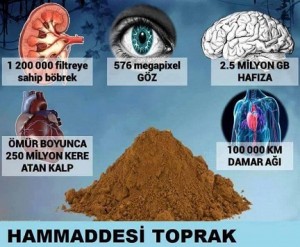 biri-tesadufmudedi-1